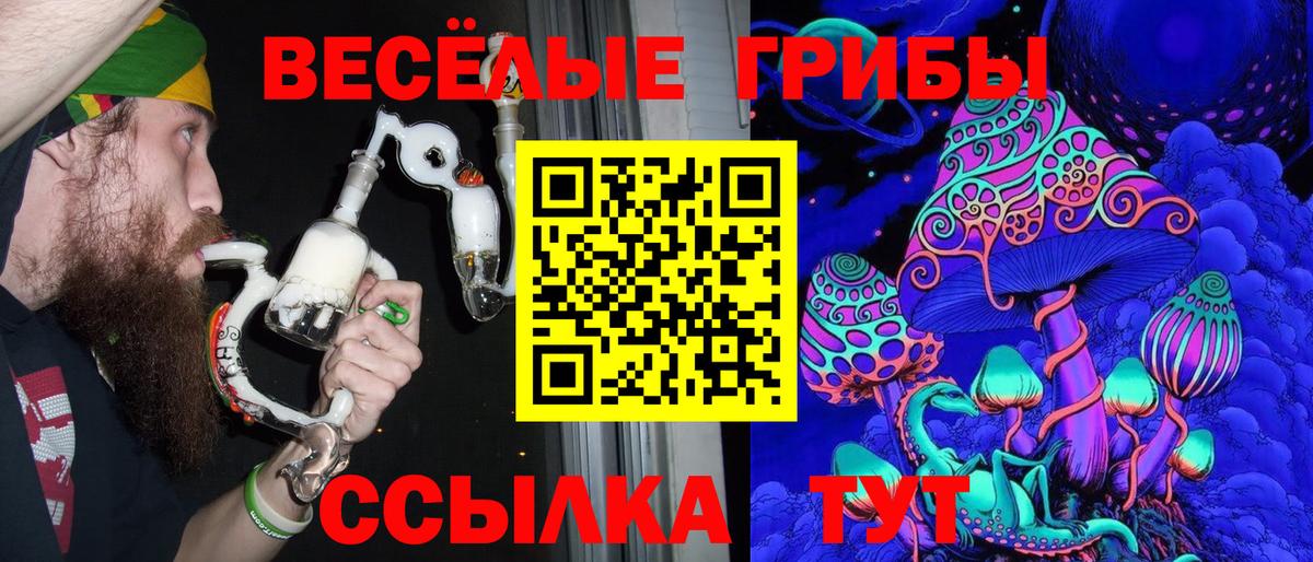 Советск  Галлюциногенные грибы GOLDEN TEACHER  Вход с VPN 